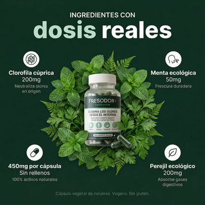 FRESODOR+ | Complemento Antiolor